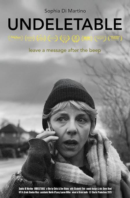 Undeletable — official poster, a film by the Blaine Brothers